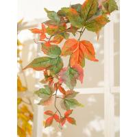uploads/erp/collection/images/Home Garden/CongDing/XU0610841/img_b/XU0610841_img_b_4